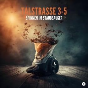 TALSTRASSE 3-5 - SPINNEN IM STAUBSAUGER